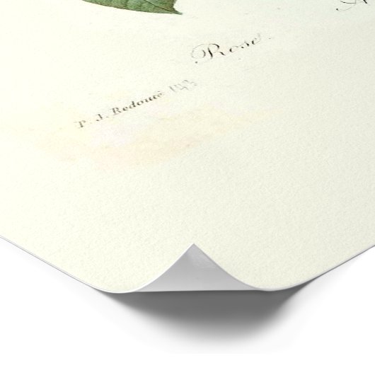 花束 ポスター (角)