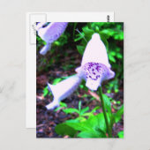 花束 ポストカード (正面/裏面)