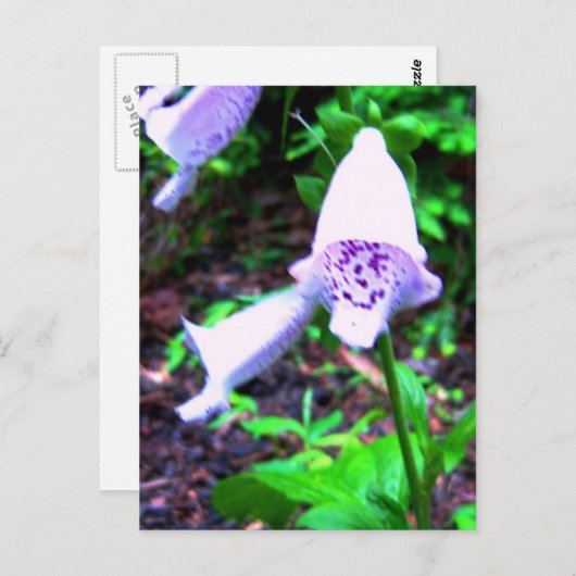 花束 ポストカード (正面/裏面)