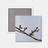 花枝磁石 マグネット (正面/裏面)