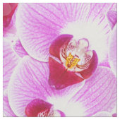 花柄はBGの放射蘭の自然の写真を抽出します ファブリック (クローズアップ)