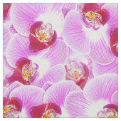 花柄はBGの放射蘭の自然の写真を抽出します ファブリック (見本)