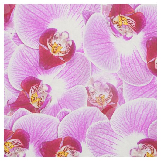 花柄はBGの放射蘭の自然の写真を抽出します ファブリック (見本)