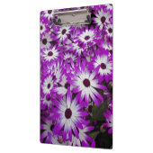 花柄，クーケンホフガーデンズ，リスセ， クリップボード (左)