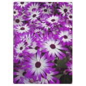 花柄，クーケンホフガーデンズ，リスセ， クリップボード (裏面)