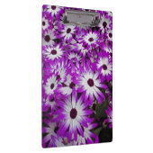 花柄，クーケンホフガーデンズ，リスセ， クリップボード (右)