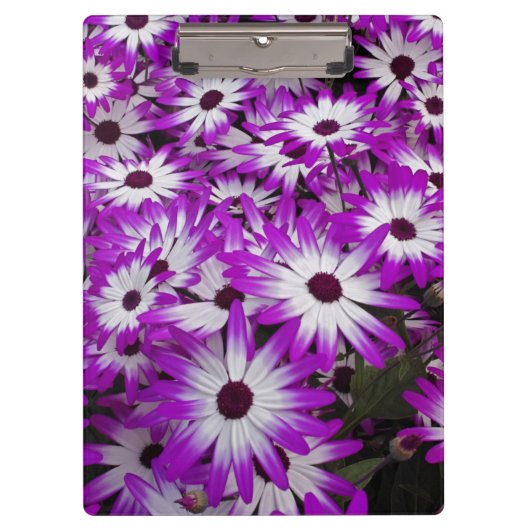 花柄，クーケンホフガーデンズ，リスセ， クリップボード (正面)