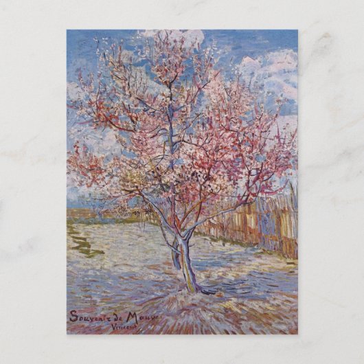 花桃（モーブの思い出） ポストカード (正面)