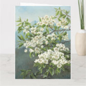 花梨の木、クリステンセン1891 カード (裏面)