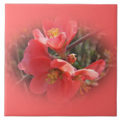 花梨の木 タイル (正面)