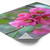 花梨 ポスター (角)