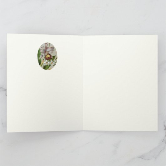 花植物学 カード (内部)