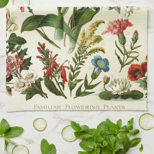 花植物学 キッチンタオル (折り畳み)
