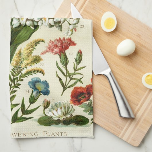 花植物学 キッチンタオル (四つ折り)