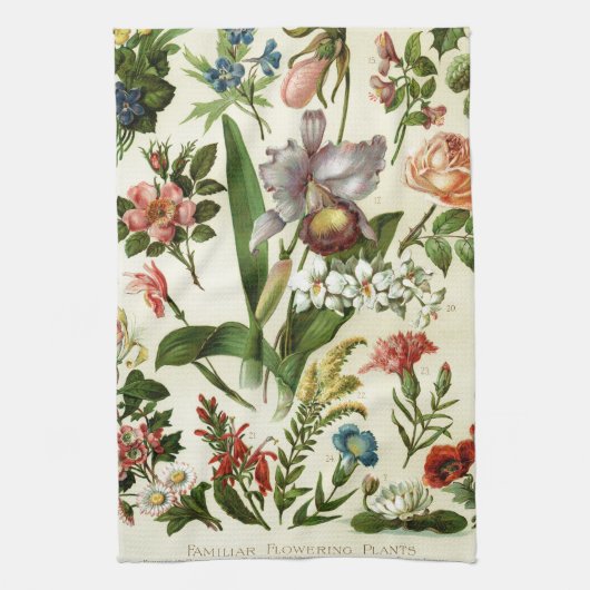 花植物学 キッチンタオル (縦)