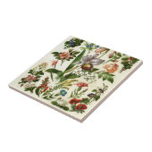 花植物学 タイル (側面)