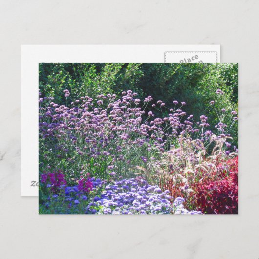 花模様の英庭園はがき ポストカード (正面/裏面)