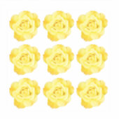 花模様 イエロー ローズ 装飾 カラフル シール (正面)