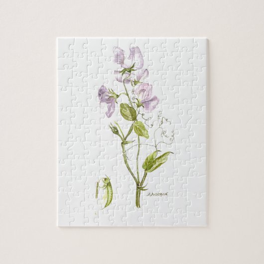 花水色の紫色と緑色のスイートピー ジグソーパズル (縦)