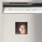 花火が爆発する マグネット (インサイチュ (食洗機))