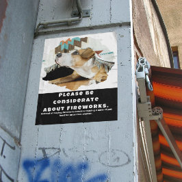 花火に対して思いやりを持って ポスター