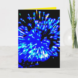 花火のカード シーズンカード