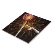 花火はSavannah川2に表示します タイル (側面)