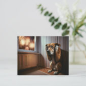 花火を怖がって見る犬 ポストカード (スタンド正面)