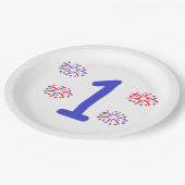 花火一歳 ペーパープレート (アングル)