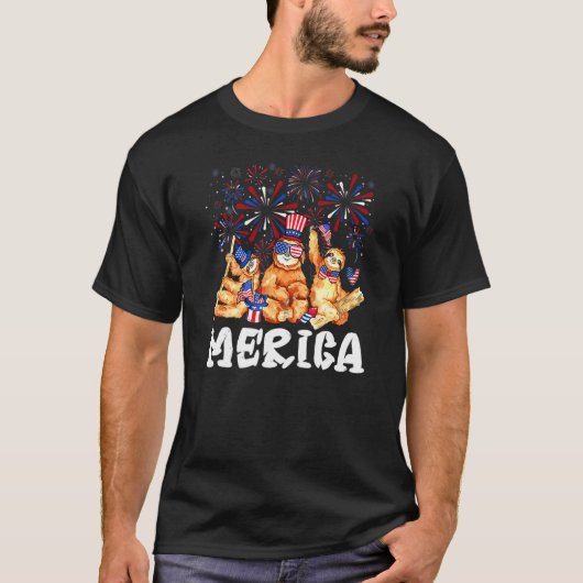 花火付きスロッスサングラスハットメリカ4th tシャツ (正面)