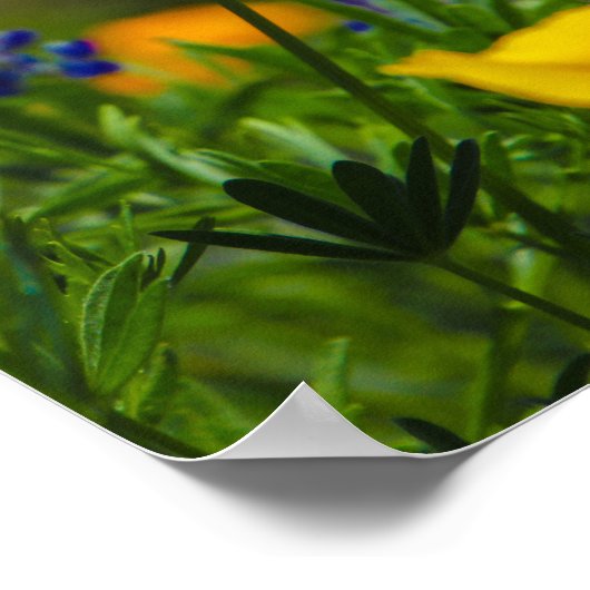 花火力 ポスター (角)