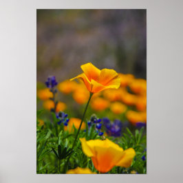 花火力 ポスター