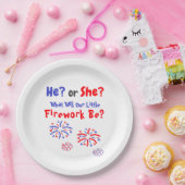 花火大会アメリカの性別の暴露 ペーパープレート (パーティー)