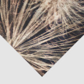 花火独立記念日金ゴールドブラック7月4日 薄葉紙 (詳細)