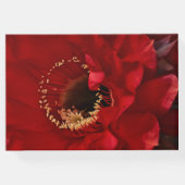 花火用サボテン ゲストブック (裏面)