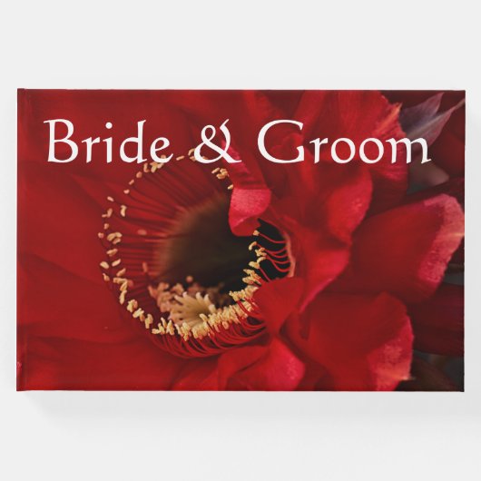 花火用サボテン ゲストブック (正面)