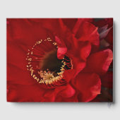 花火用サボテン ゲストブック (裏面)