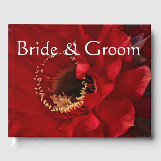 花火用サボテン ゲストブック (正面)