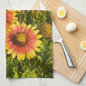 花火車Gaillardia pulchella)野草 キッチンタオル (四つ折り)