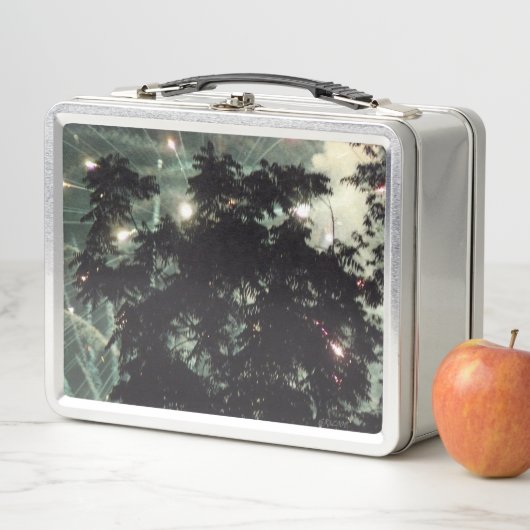 花火13ステンレス弁当箱 メタルランチボックス (インサイチュ)