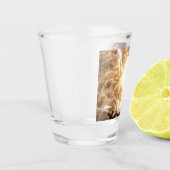 花火15ショットグラス ショットグラス (左)