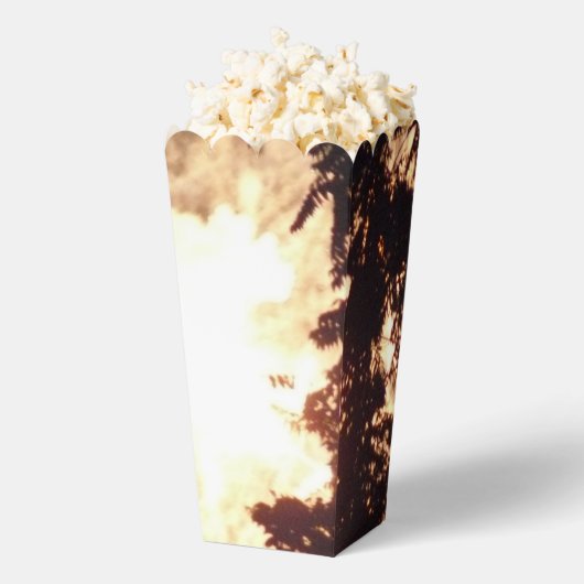 花火15個のポップコーン箱 フェイバーボックス (はじけた状態)