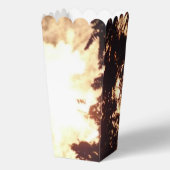 花火15個のポップコーン箱 フェイバーボックス (正面)