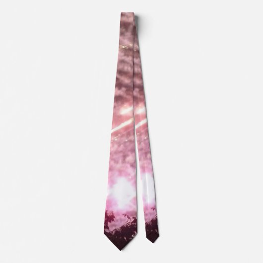 花火17人の男性ネクタイ ネクタイ (正面)