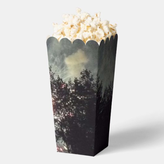 花火17個のポップコーンの箱 フェイバーボックス (はじけた状態)