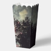 花火17個のポップコーンの箱 フェイバーボックス (正面)