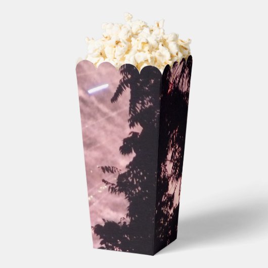 花火18個のポップコーン箱 フェイバーボックス (はじけた状態)