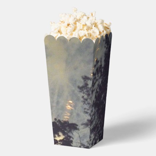 花火19個のポップコーン箱 フェイバーボックス (はじけた状態)