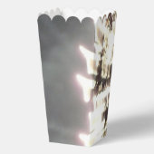 花火2ポップコーン箱 フェイバーボックス (裏面)