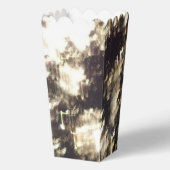 花火2ポップコーン箱 フェイバーボックス (正面)